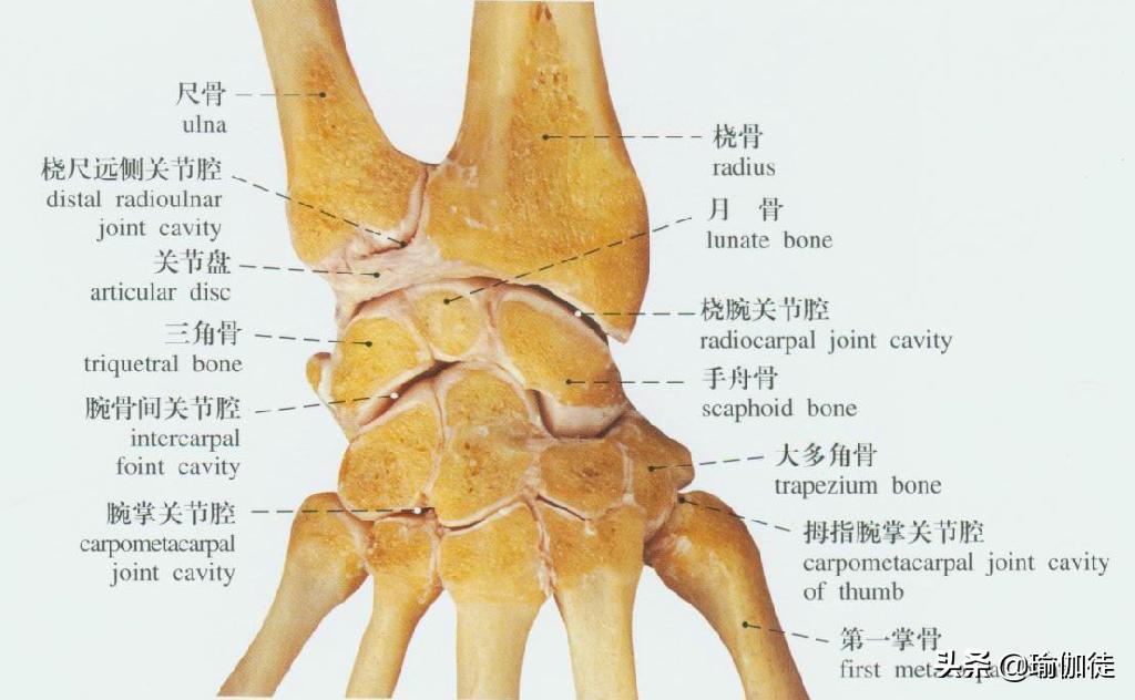 瑜伽练习中手腕痛应该这样处理