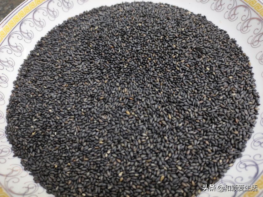 炒黑芝麻和冰糖一起炒,黑芝麻怎么做吃起来不苦