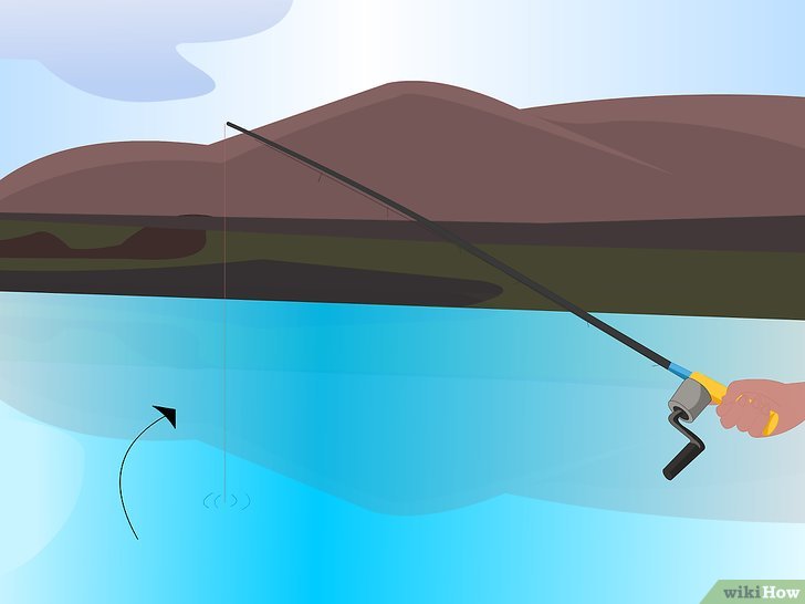 野外钓鱼的技巧和方法,蚯蚓加蜂蜜钓鱼的正确方法