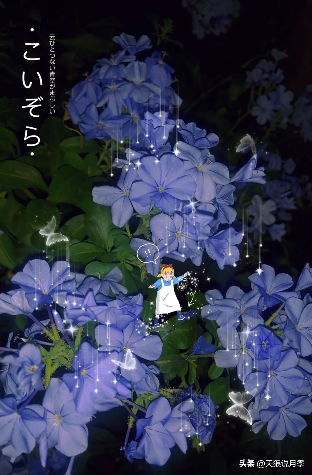 怎么打造露台小花园,如何打理自己的露台小花园