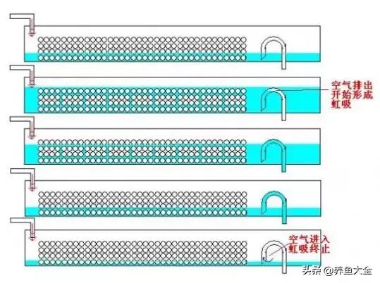 鱼缸过滤详细讲解,学会这一招鱼缸清澈