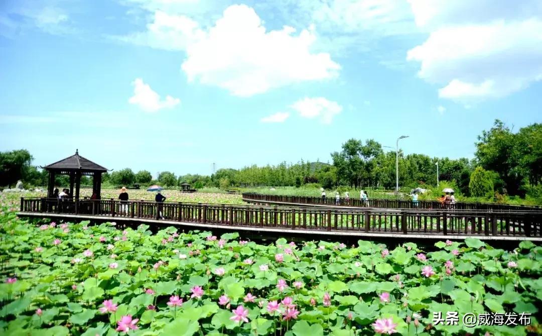 威海春天赏花攻略,威海游玩观光