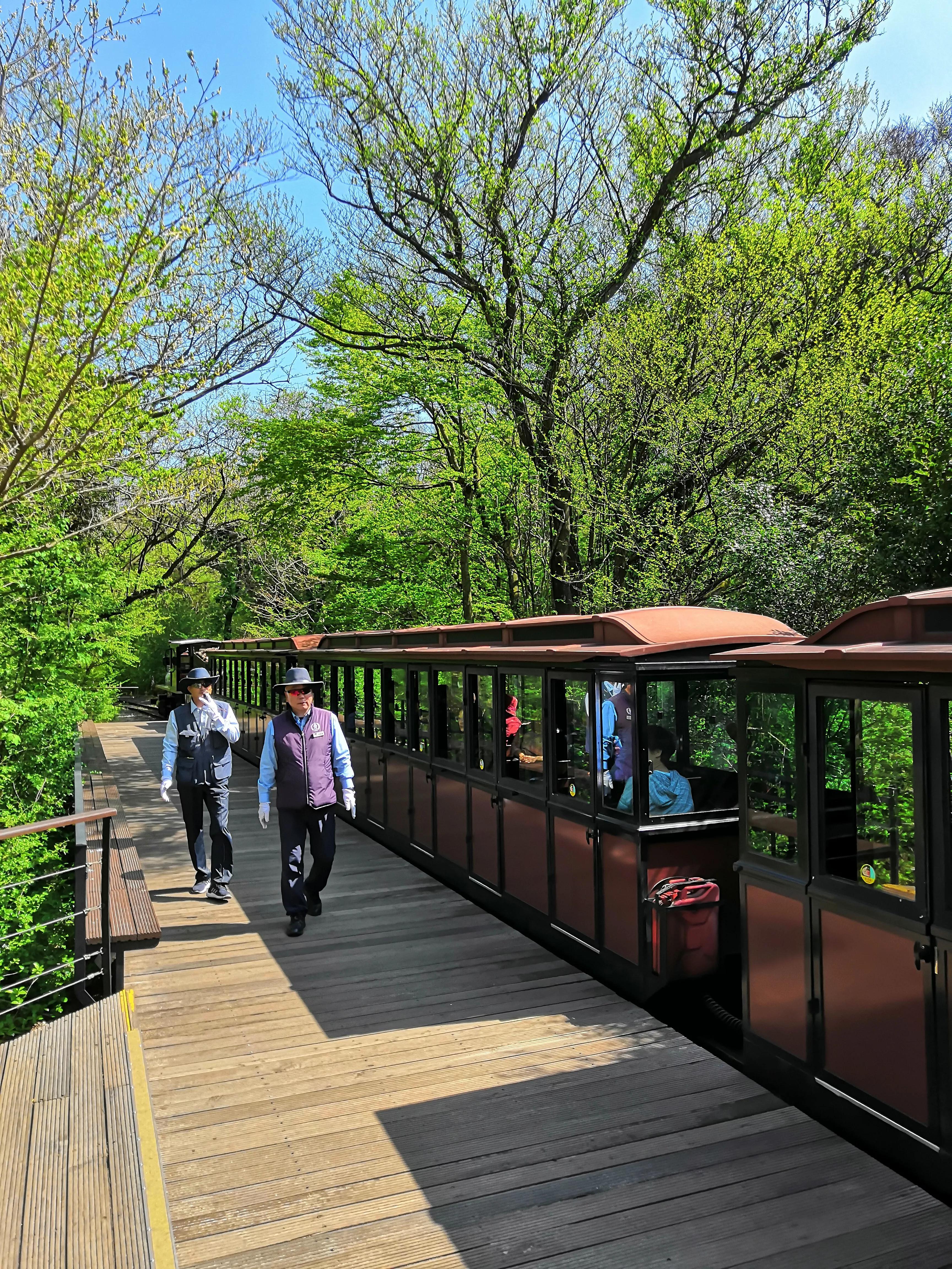 在济州岛发呆的日子,济州岛散心