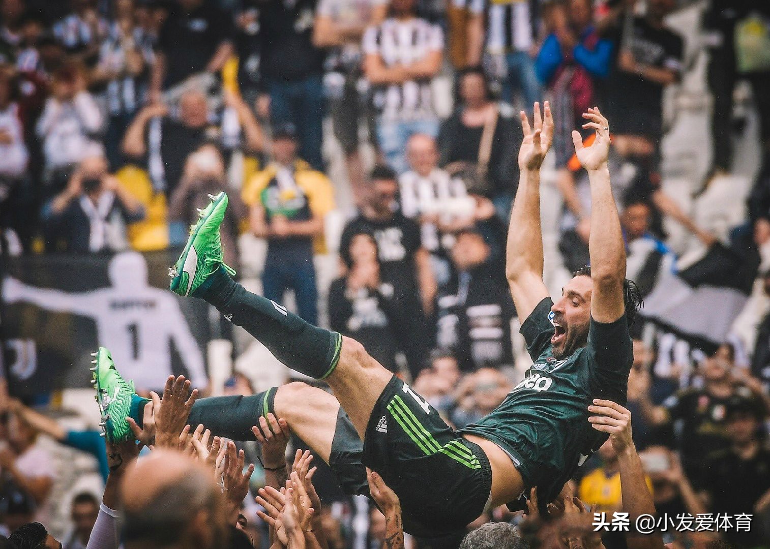 布冯传奇生涯配得上一座欧冠奖杯,布冯续约