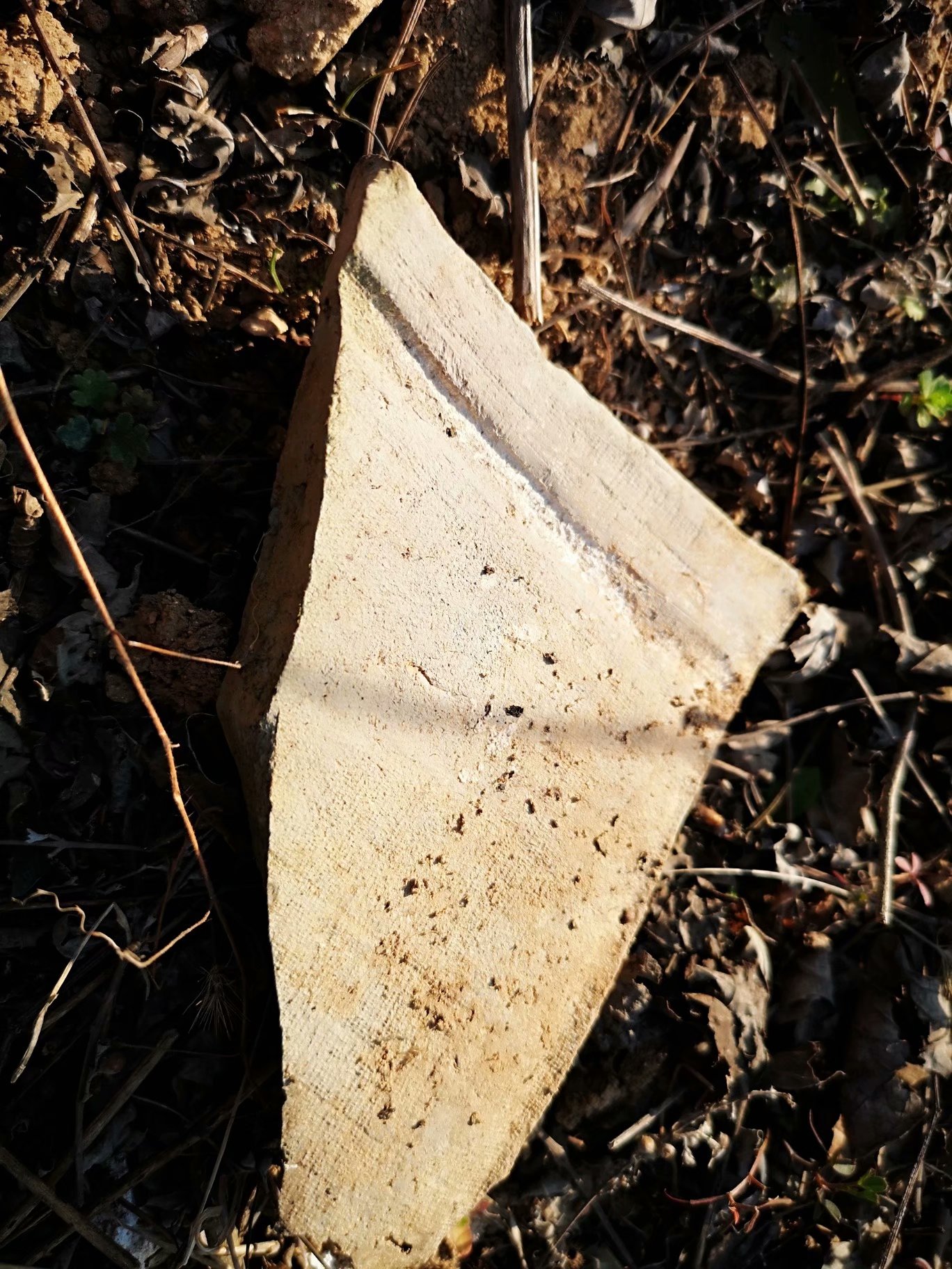 摩托周边旮旯游——探访蚌埠李楼鲁山寺遗址（上）