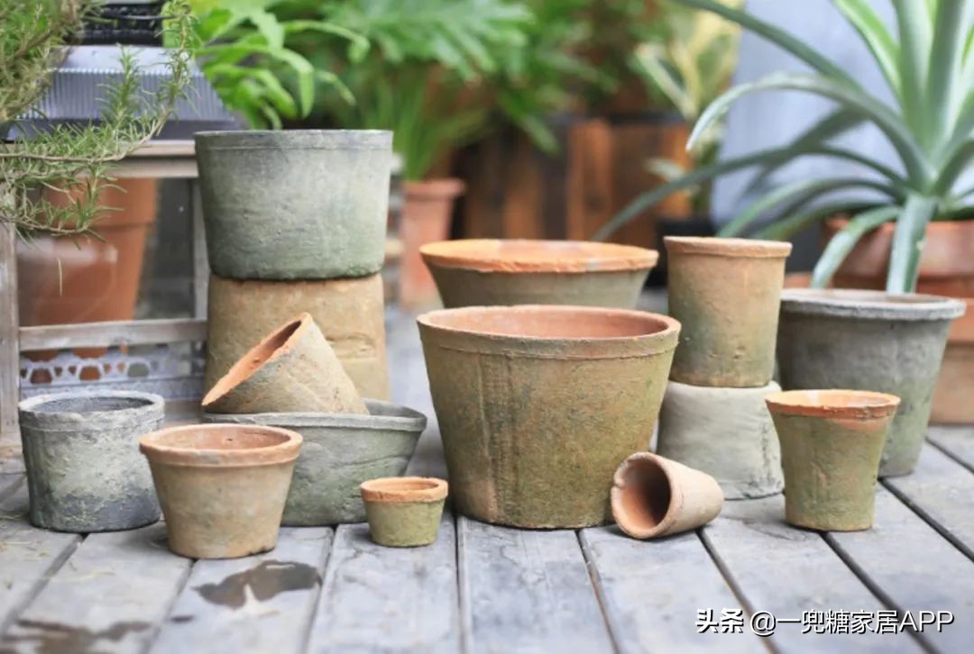 春天花会开|这20家植物淘宝店，植物杀手看了也想买！