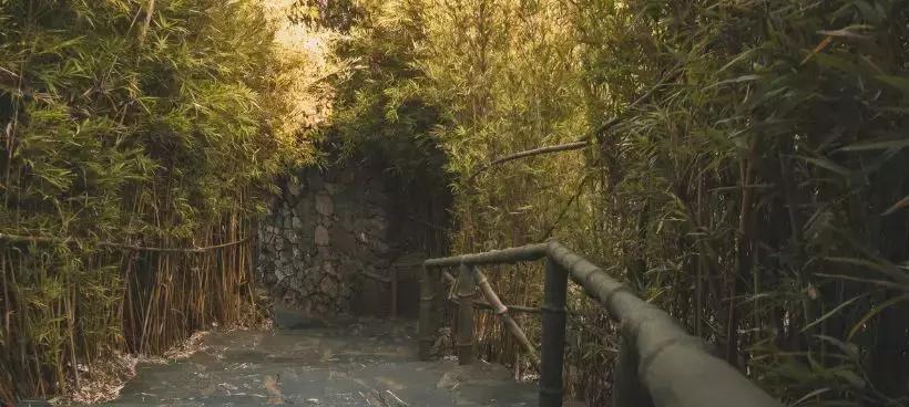 无论你是在哪一个季节来连州，连州都美如一幅画！