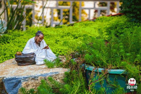 福州菊花展21年还有吗,福州西湖菊花展人山人海