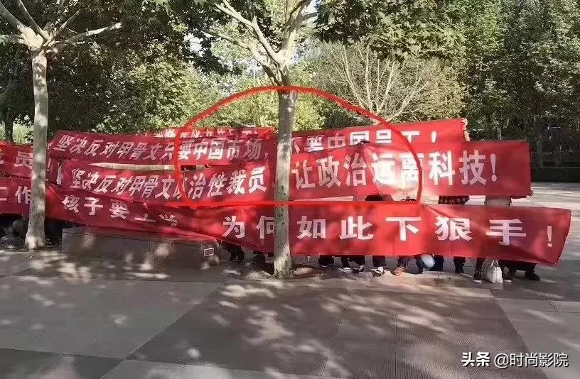 富贵鸟申请破产,富贵鸟破产为何还在卖衣服