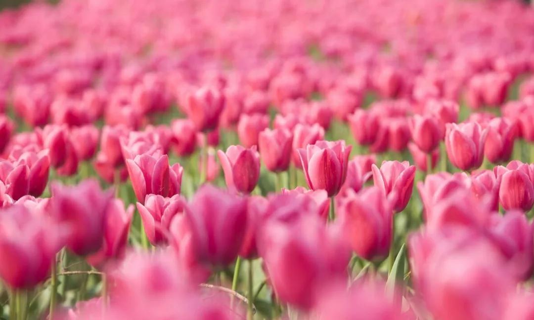 董氏针灸治疗痛经穴位,俞老的针灸视频