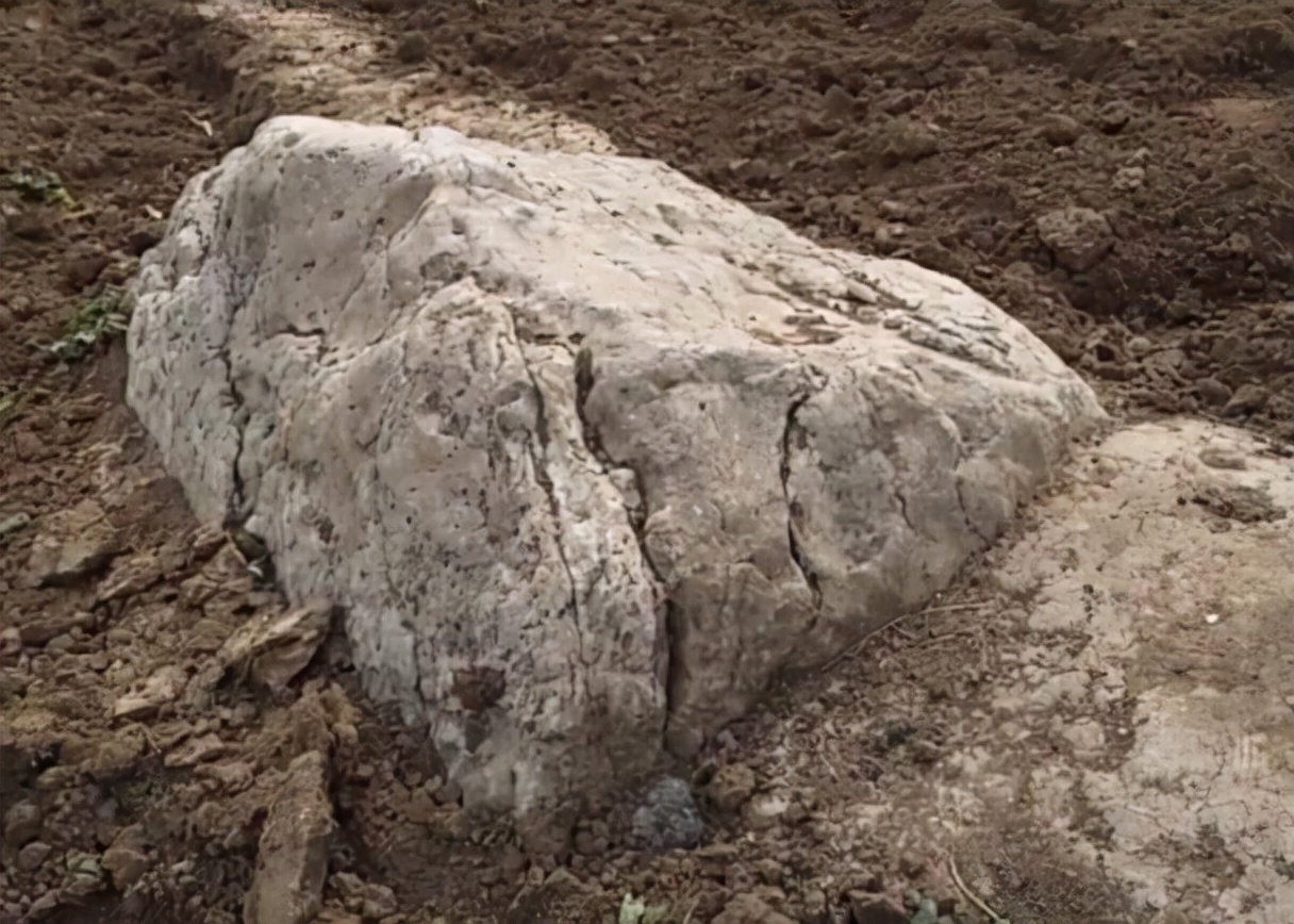 平地海拔最矮的山,海拔最矮的山在哪里