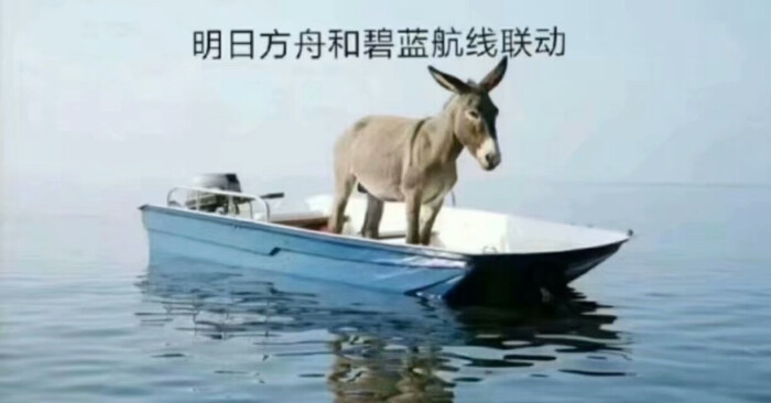 明日方舟爆笑沙雕图第14期,明日方舟爆笑沙雕图第1期