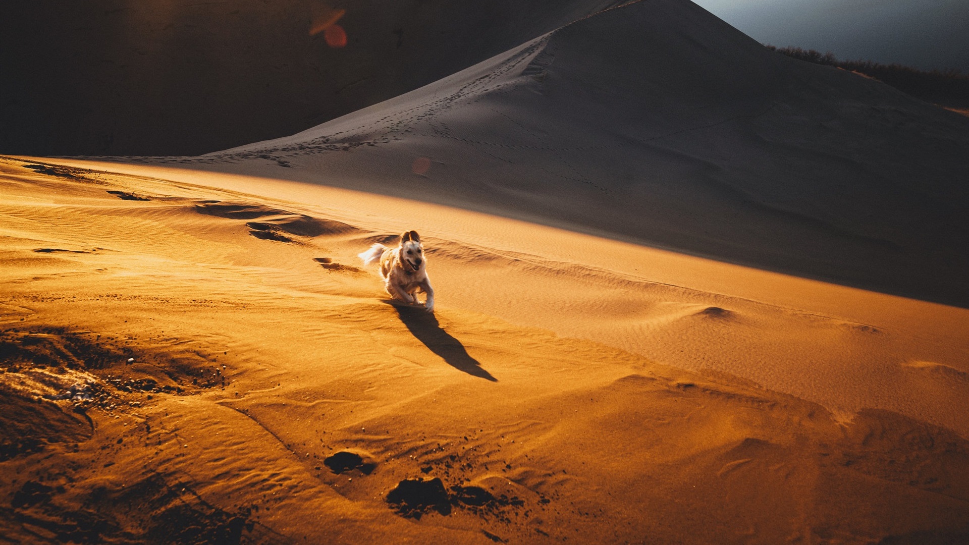 全球砂石价格大涨,日本想用一斤米换一斤沙?中国拒绝了