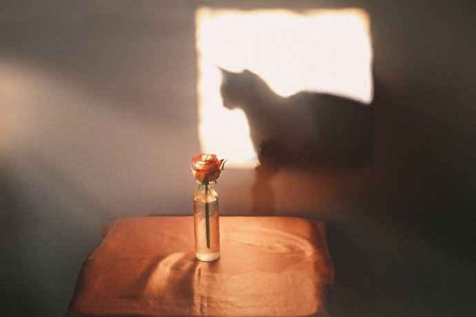 喝酒状态最佳的女人,成熟的女人喝酒有哪些表现