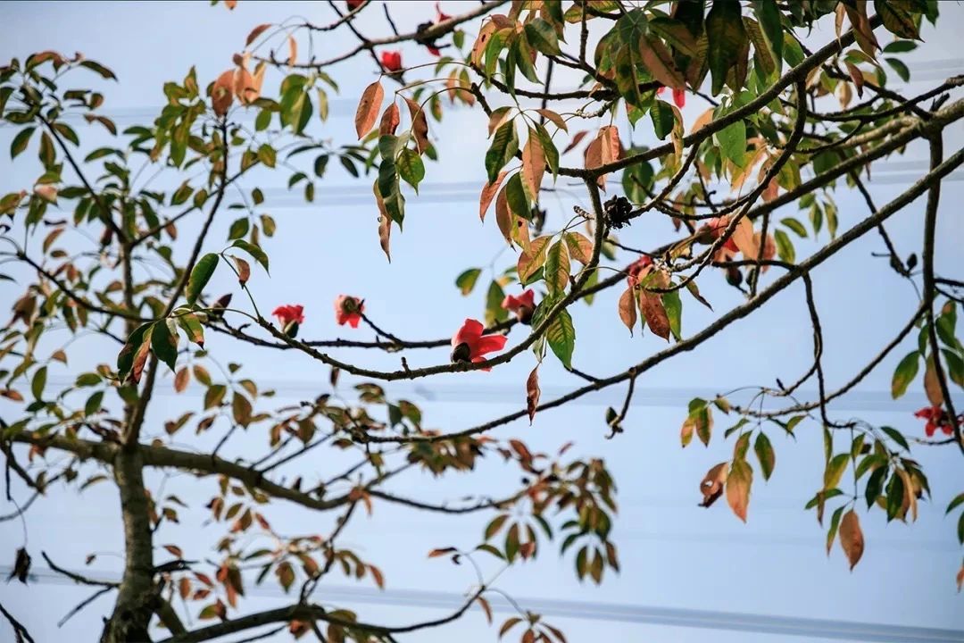 深圳看海去哪里比较好,深圳出地铁就看海的地方是哪里