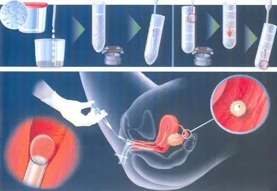 你的心思我明白原唱,你的心思我懂得