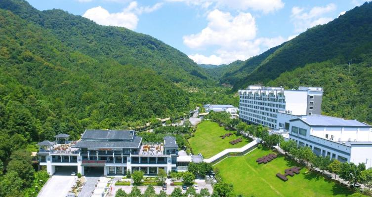 广东看樱花旅游景点推荐,广东樱花打卡景点