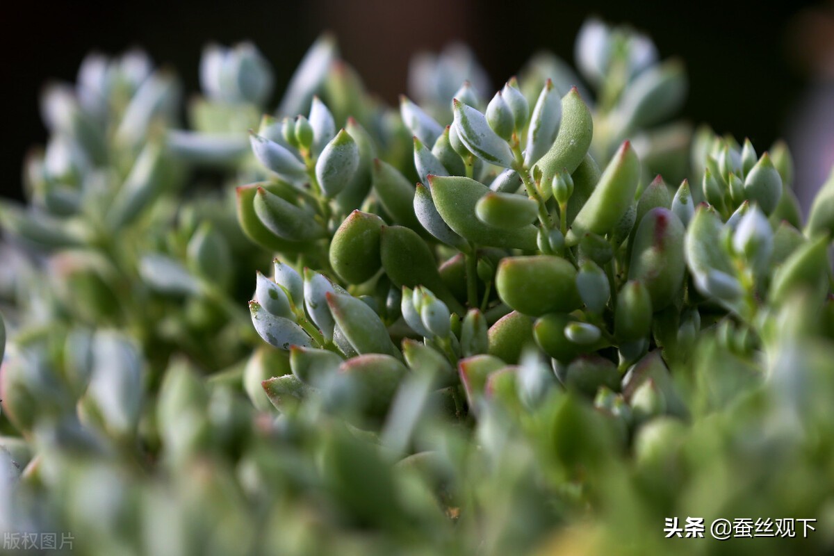 沭阳县百强县排名,中国百强县江苏沭阳