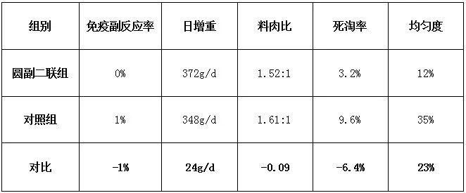 猪非瘟预防,圆环副猪怎么治疗