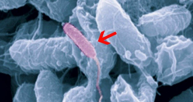 唾液的功效和作用的视频,唾液对人体居然有这九大功能