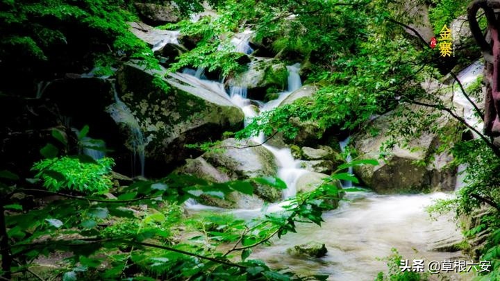 不输黄山迎客松的迎客松,不输黄山的景点