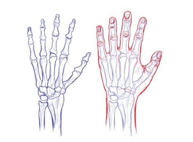 人物漫画手的画法,漫画人物手的100种画法