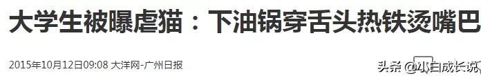为什么虐猫会被批判,为什么现在虐猫都能上热搜