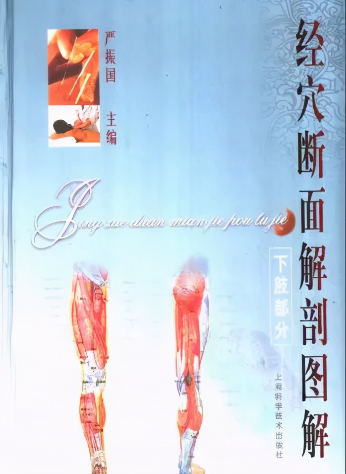 想学好中医针灸要熟读哪些书,想学针灸推拿怎么学