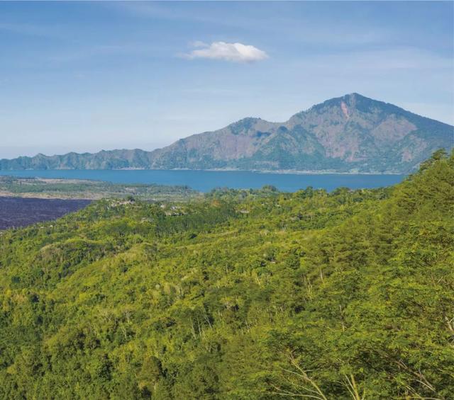 姝ｅ吀鐕曠獫杩涘彛楂樼鐕曠洀,杩涘彛澶х洀绮惧搧鐕曠獫