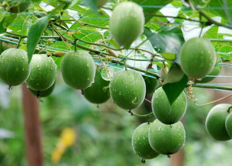 生病千万别吃它后果不堪设想,生病了千万别吃什么