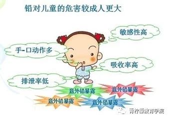 青柠檬科学备考,青柠檬培训怎么样