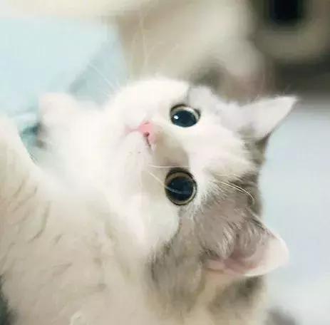 只要不停产会一直回购的化妆品,十大最不建议买的水乳