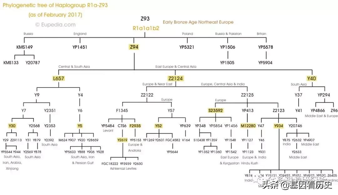 父系R1a人群系列——包括中国的楼兰人