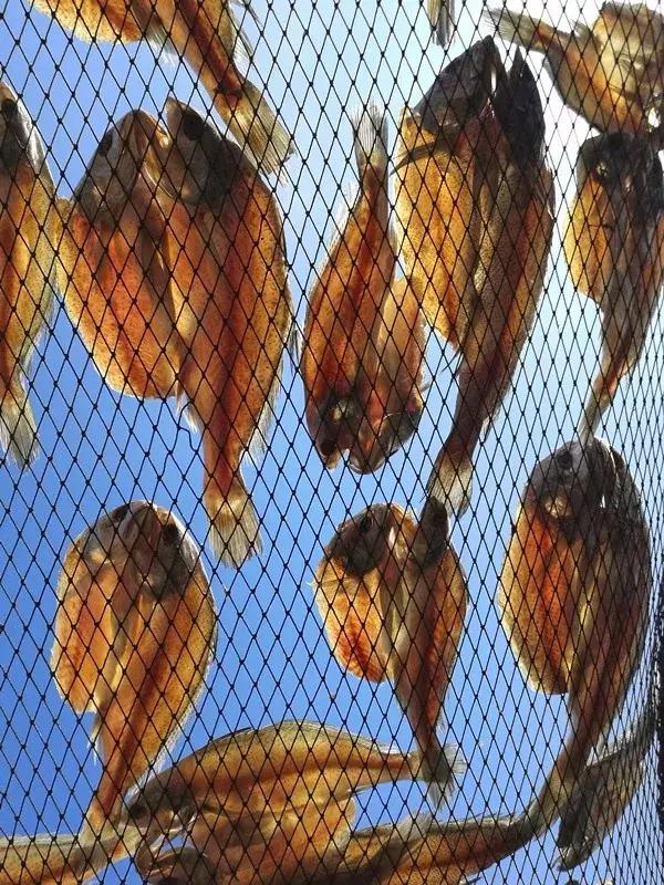 浙江宁波小众景点,浙江省宁波市黄金海岸