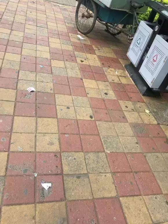 新划进光明中学的这个老小区，位置真好！还不贵