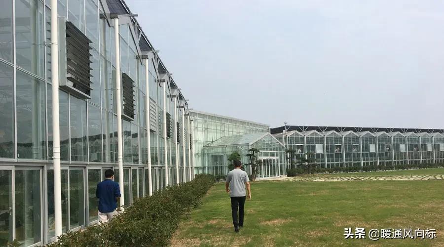 三大案例,带你走进农业种植大棚、畜牧养殖和水产养殖供热市场