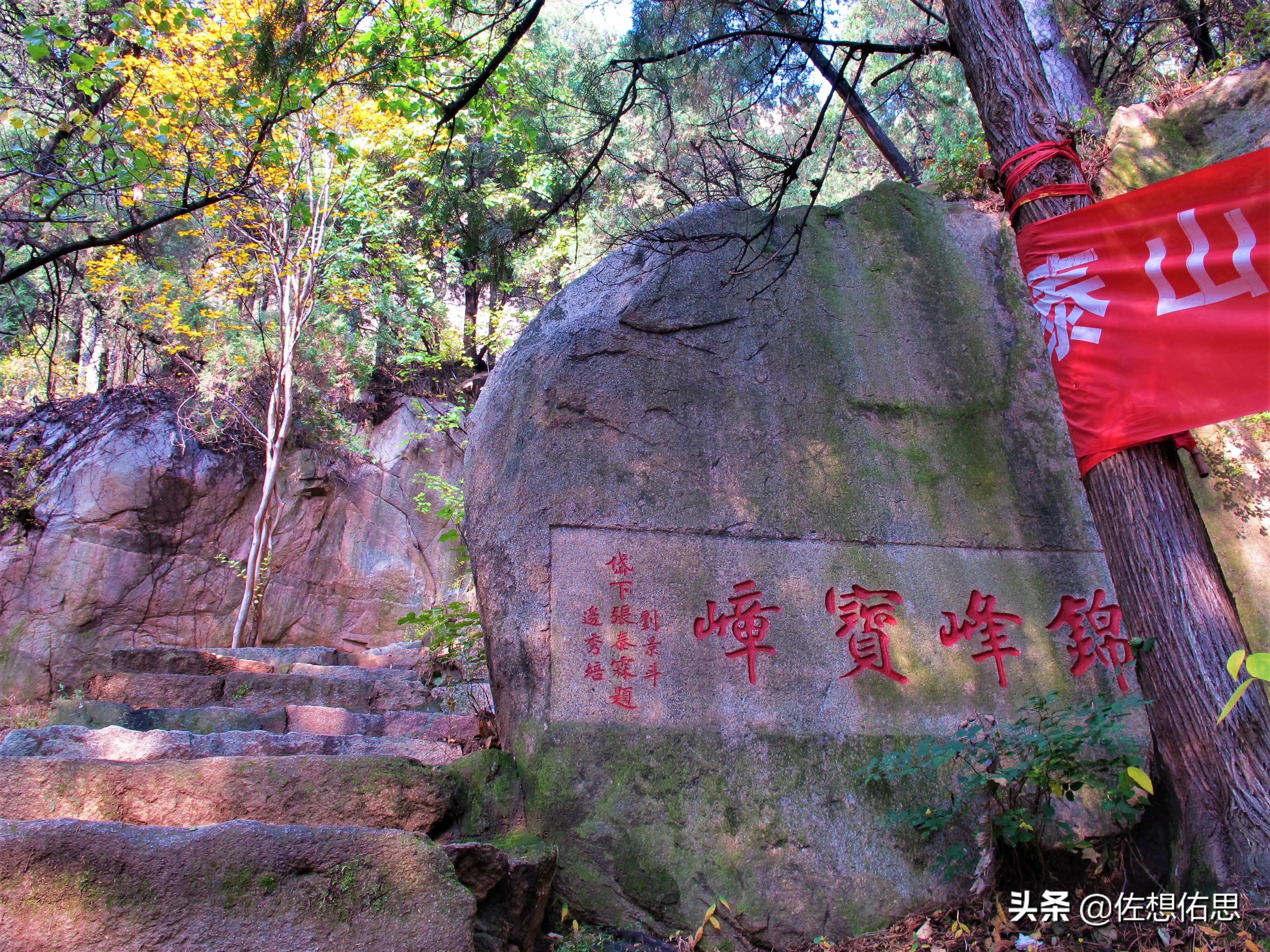 泰安扇子崖免门票吗,扇子崖门票多少钱