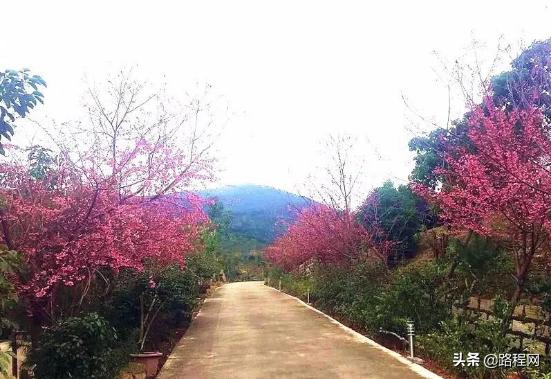 福建自驾房车露营地推荐,福建顶级露营地