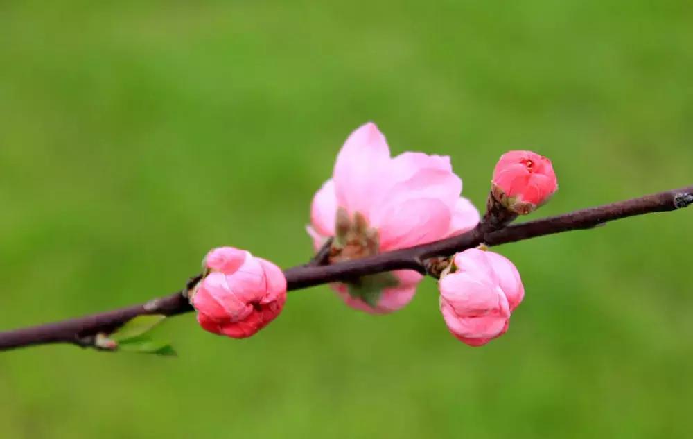 杭州攻略7大必去景点,杭州旅游攻略建议去和不建议去