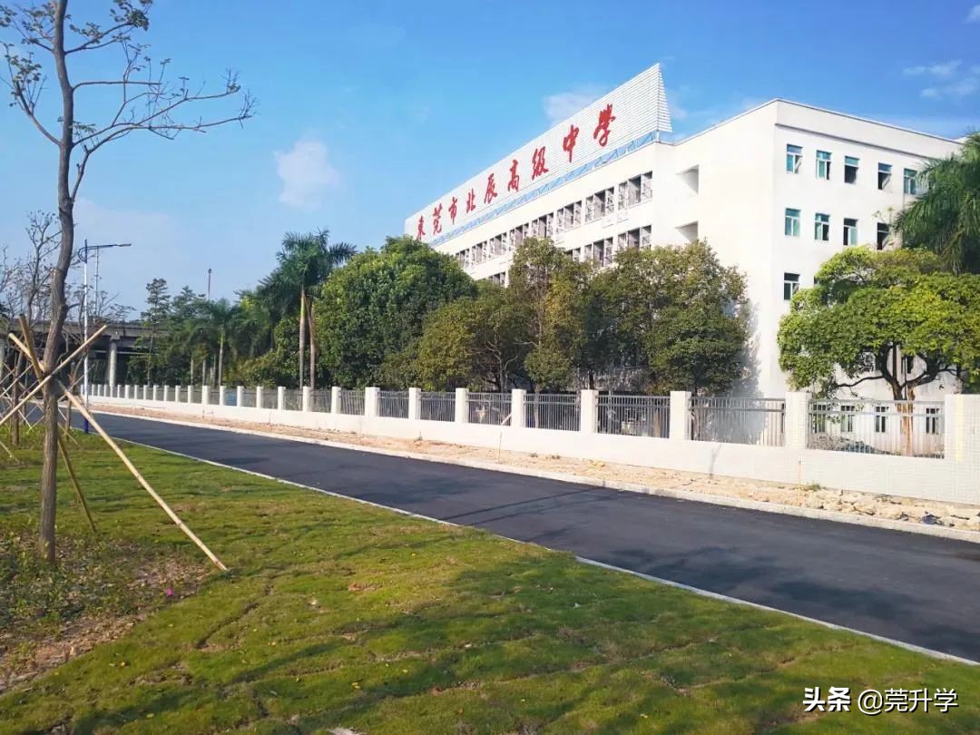 东华松山湖高级中学多少分录取,东华松山湖高级中学2023招生简章