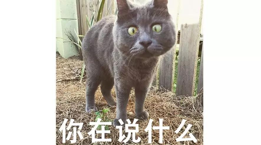 适合20岁女生的巴宝莉香水有哪些 (香奈儿邂逅香水哪个适合20岁女生)