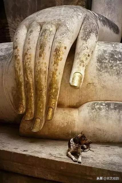 欣赏世间之美,欣赏之美