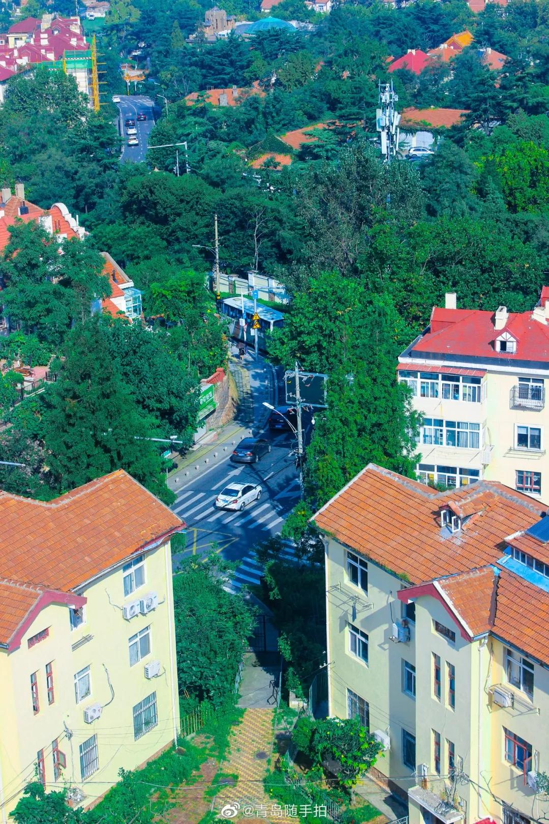 四月的青岛微风不燥,四月份的青岛什么好吃