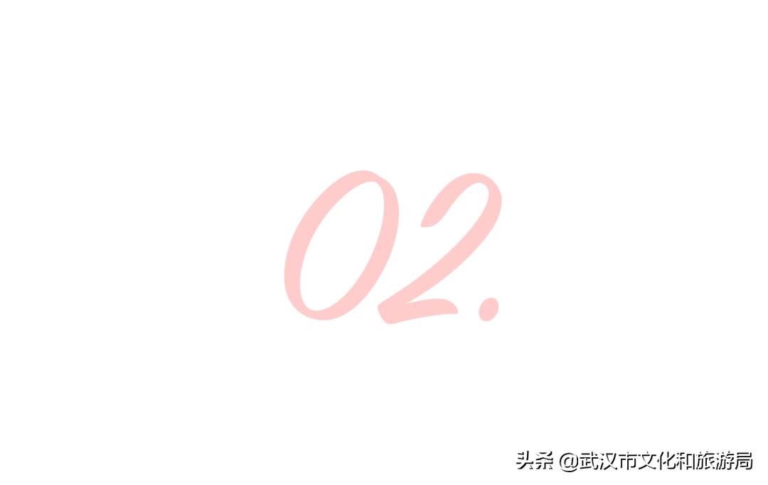 武汉东湖樱花门票,武汉看樱花的景点