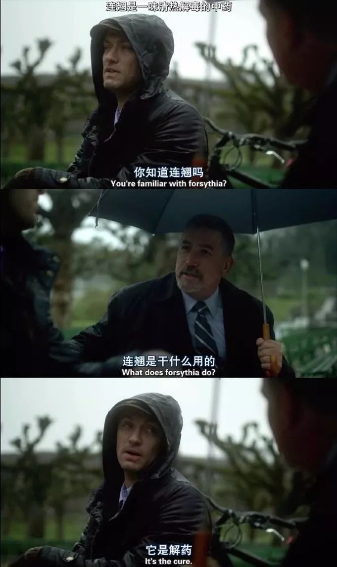 双黄连卖了多少钱,双黄连片退钱吗