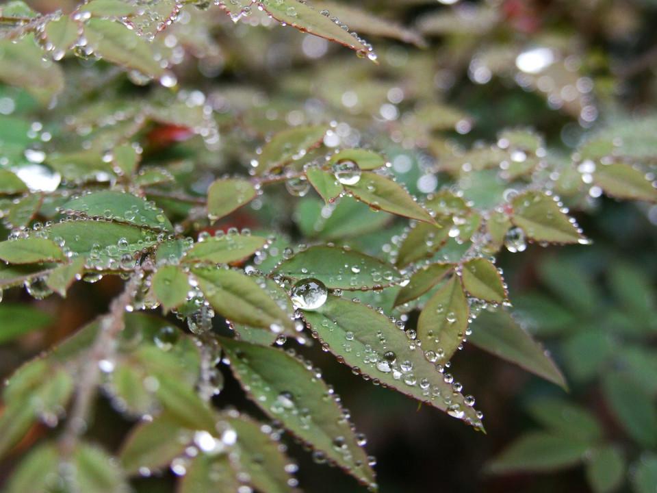 柳宗元表达自己不甘的诗句,柳宗元表达豪情壮志的诗