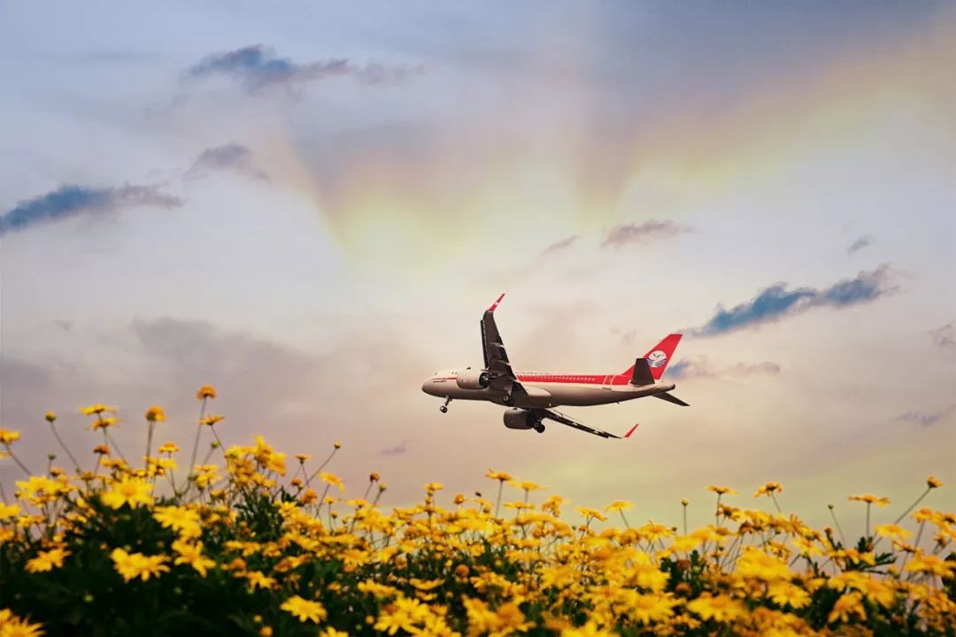 成都环城生态公园攻略,双流值得去的公园