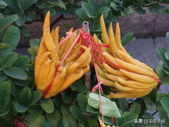 浙江绍兴诸暨山下湖珍珠市场,中国最大珍珠批发诸暨市场