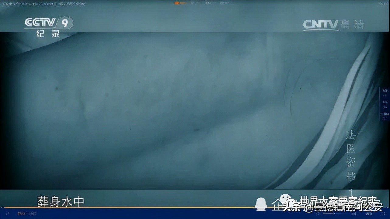 大案纪实法医四人组,大案纪实法网恢恢