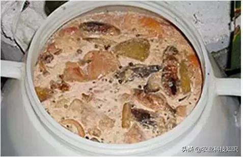 酵素制作，让厨余垃圾零废弃，秒变环保达人,内附制作方法